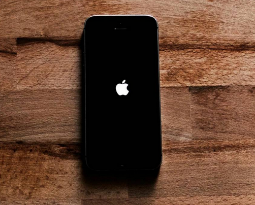龙楼镇苹果无法开机维修分享iPhone无法开机怎么办 