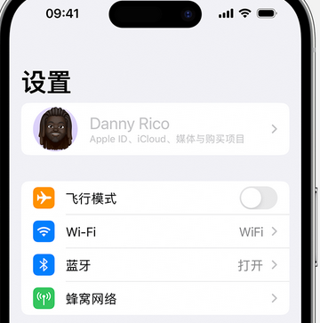 龙楼镇appleID维修服务iPhone设置中Apple ID显示为灰色无法使用 