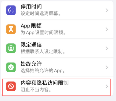 龙楼镇appleID维修服务iPhone设置中Apple ID显示为灰色无法使用