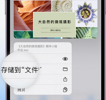 龙楼镇apple维修中心分享iPhone文件应用中存储和找到下载文件