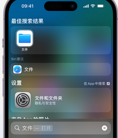 龙楼镇apple维修中心分享iPhone文件应用中存储和找到下载文件 