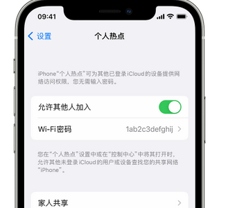 龙楼镇apple服务站点分享iPhone上个人热点丢失了怎么办