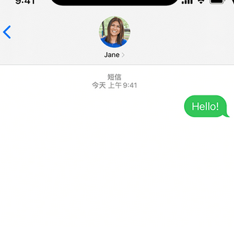 龙楼镇apple维修iPhone上无法正常发送iMessage信息