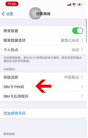 龙楼镇苹果14维修网分享如何给iPhone14的SIM卡设置密码 