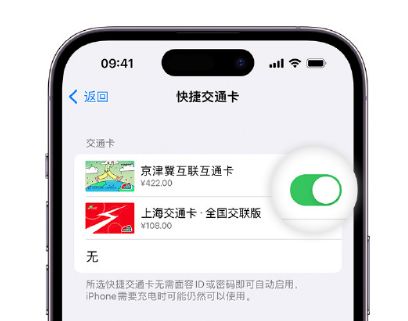 龙楼镇apple维修点分享iPhone上更换Apple Pay快捷交通卡手绘卡面 