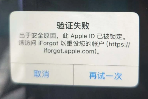 龙楼镇iPhone维修分享iPhone上正常登录或使用AppleID怎么办 