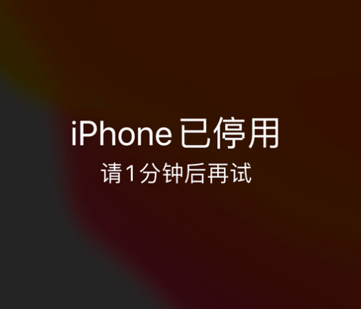 龙楼镇苹果手机维修分享:iPhone 显示“不可用”或“已停用”怎么办？还能保留数据吗？ 