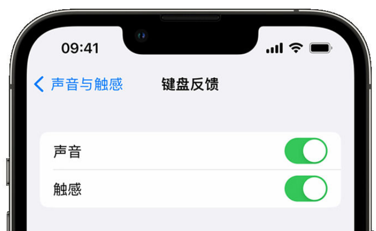 龙楼镇苹果手机维修分享iPhone 14触感键盘使用方法 