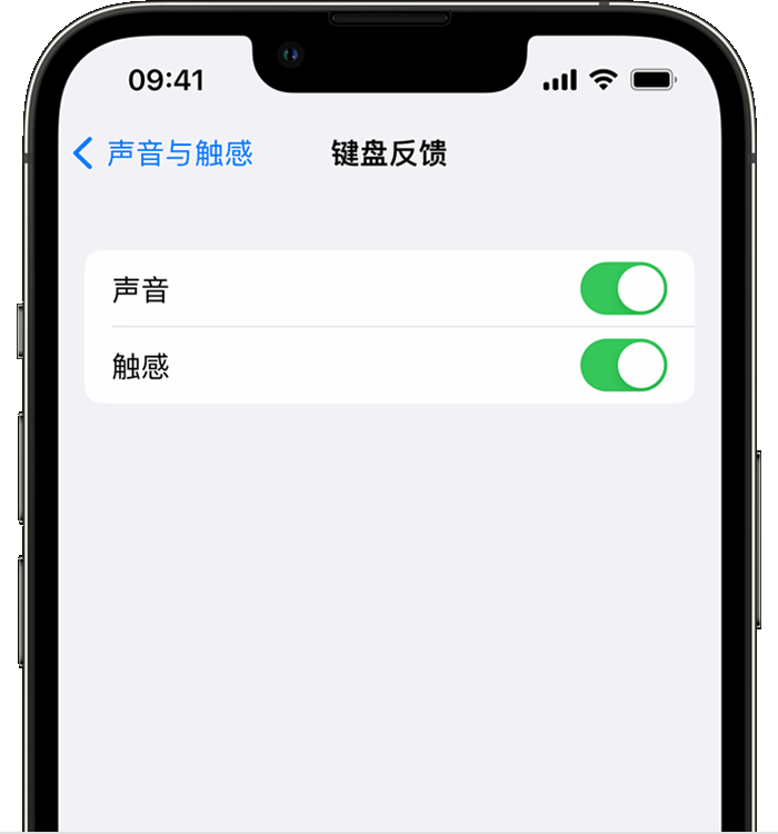 龙楼镇苹果14维修店分享如何在 iPhone 14 机型中使用触感键盘 