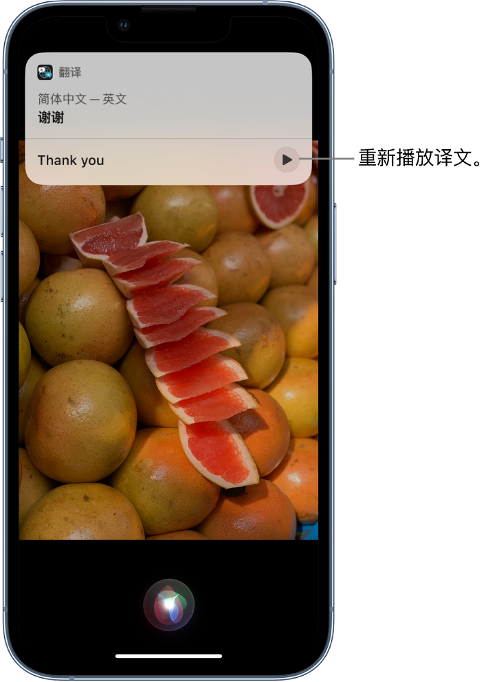 龙楼镇苹果14维修分享 iPhone 14 机型中使用 Siri：了解 Siri 能帮你做什么 