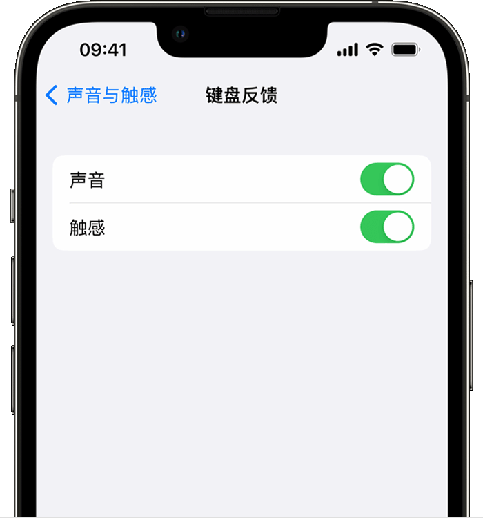 龙楼镇苹果14维修分享iPhone 14 系列机型如何开启键盘声音或触感反馈 