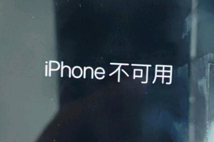 龙楼镇苹果服务网点分享锁屏界面显示“iPhone 不可用”如何解决 