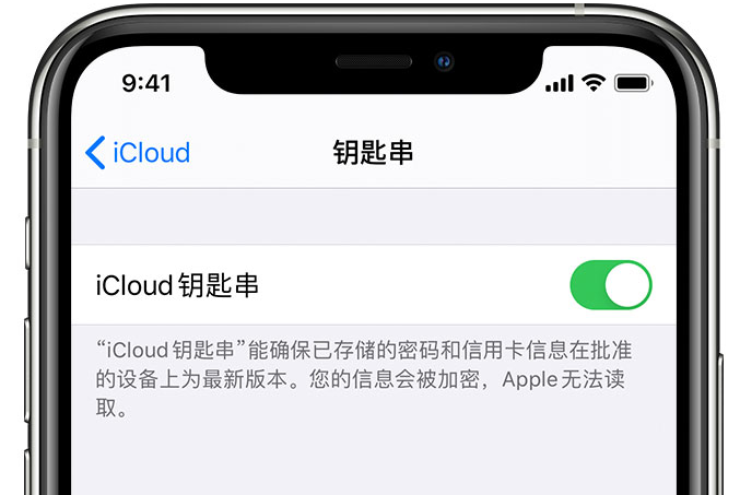 龙楼镇苹果手机维修分享在 iPhone 上开启 iCloud 钥匙串之后会储存哪些信息 