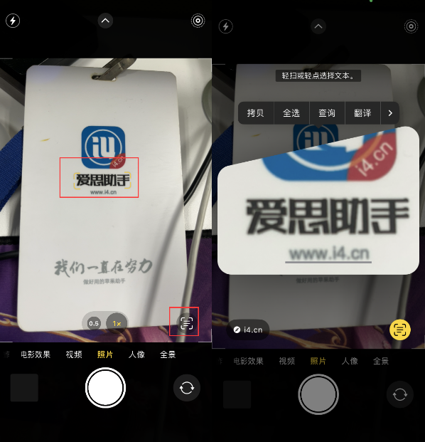 龙楼镇苹果手机维修分享升级iOS 16后如何通过相机翻译文本 