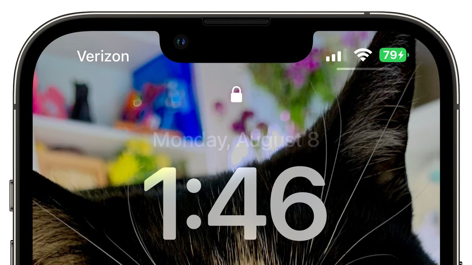 龙楼镇苹果手机维修分享iOS 16 beta 5 支持状态栏显示电池百分比，如何开启？支持哪些机型 