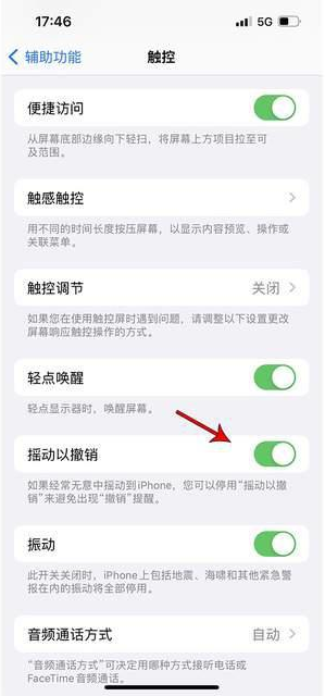 龙楼镇苹果手机维修分享iPhone手机如何设置摇一摇删除文字 