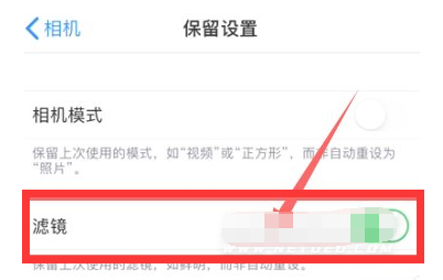龙楼镇苹果13维修分享iPhone13拍照有绿点是怎么回事 