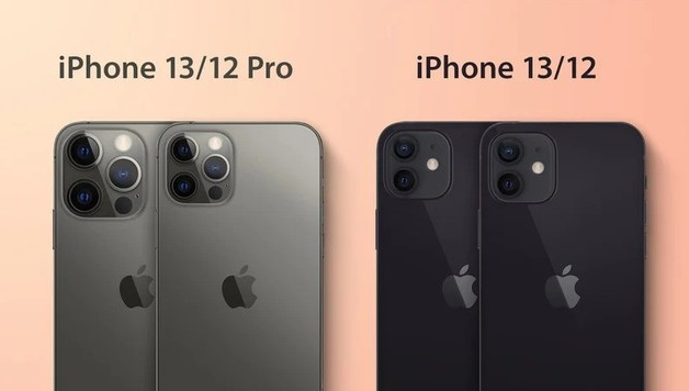 龙楼镇苹果手机维修分享iPhone 13 摄像头长什么样 