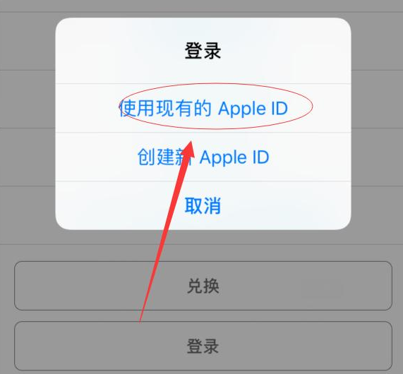 龙楼镇苹果手机维修分享两台iPhone设备可以同时登录一个Apple ID吗 