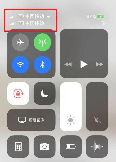龙楼镇苹果手机维修分享为 iPhone 12 双卡设置标签 