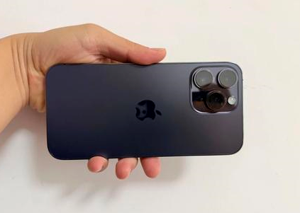 龙楼镇苹果维修点分享iPhone 14 Pro Max黑屏少见故障盘点 